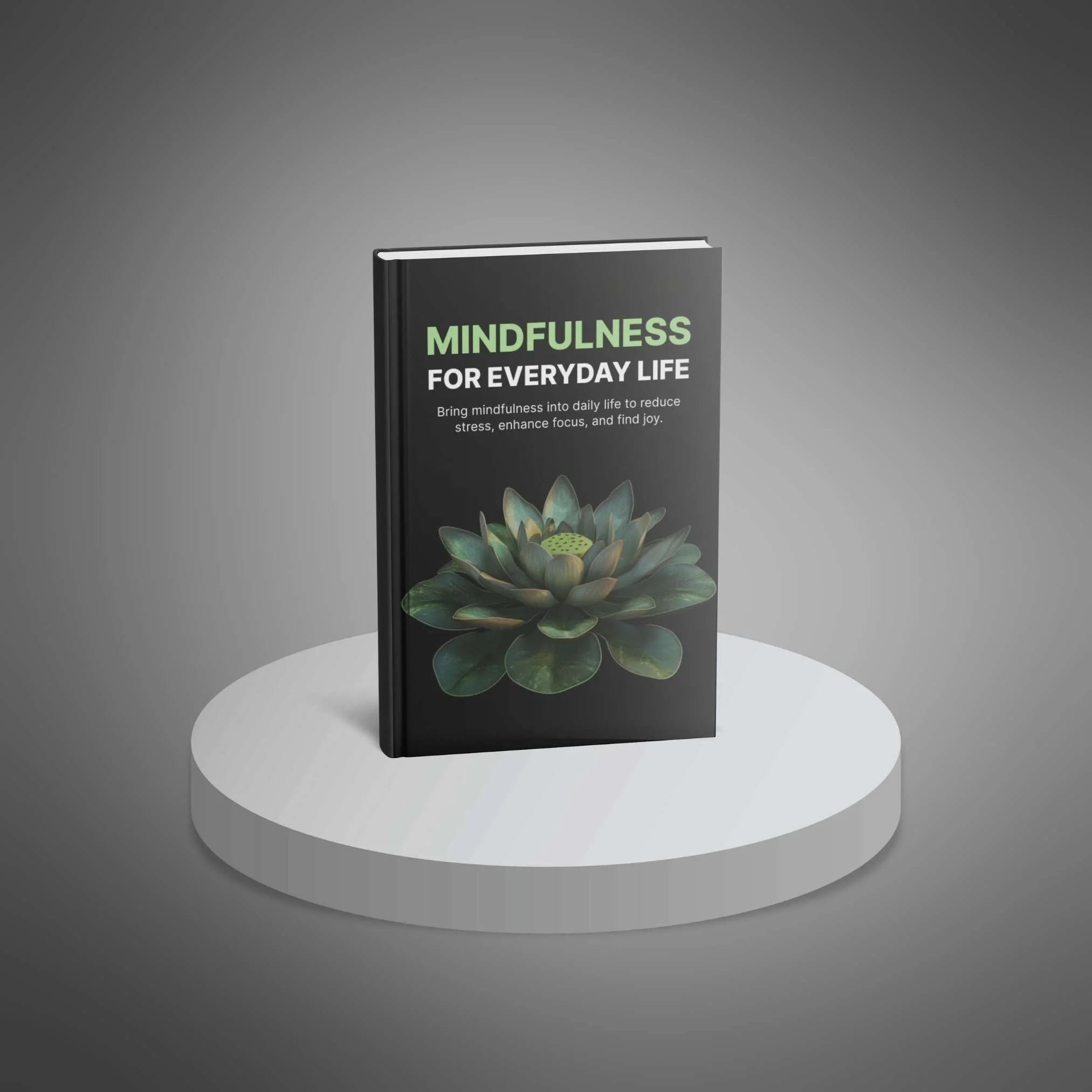 Cover of Mindfulness for Everyday Life